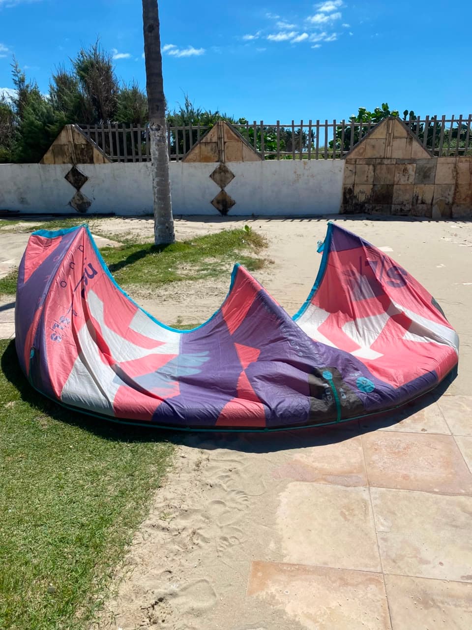 Kite